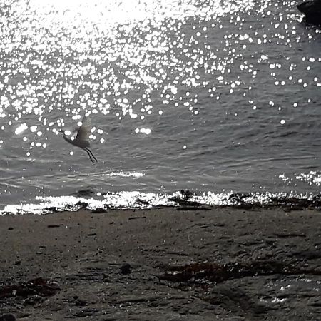 Guilvinec Appartement Proche De La Mer מראה חיצוני תמונה